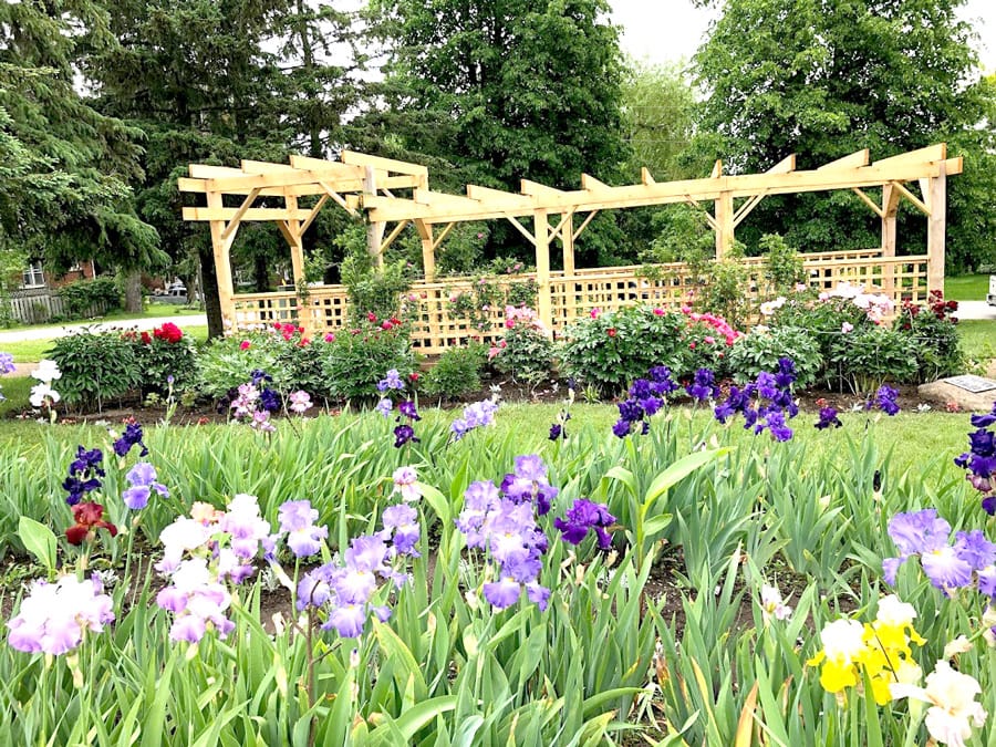 Gardens a tribute to Terry Fox’s vision, determination, inspiration post image