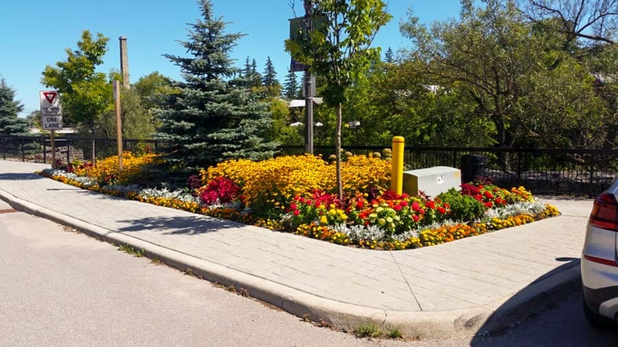 Leave your leaves for us says Fergus Horticultural Society post image