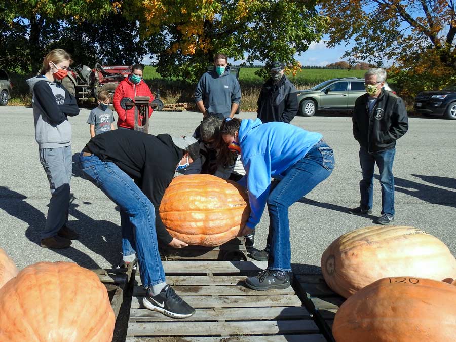 Big pumpkin post image
