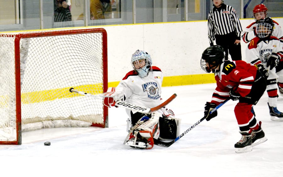 Minto U11 Leafs and Flames end first game in a tie post image