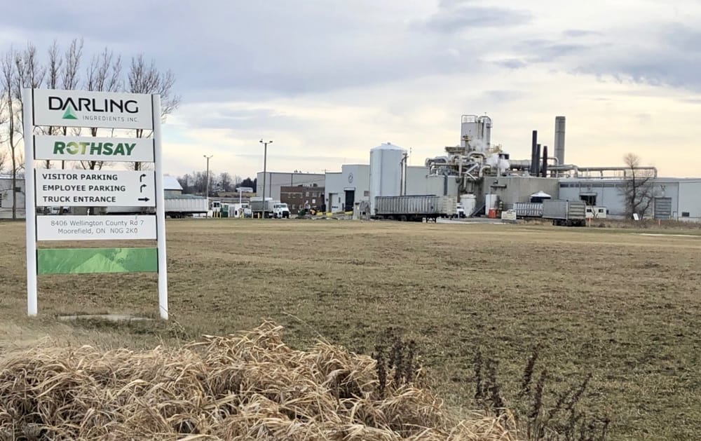 Minto, Wellington North attest to rendering plant's positive impact post image