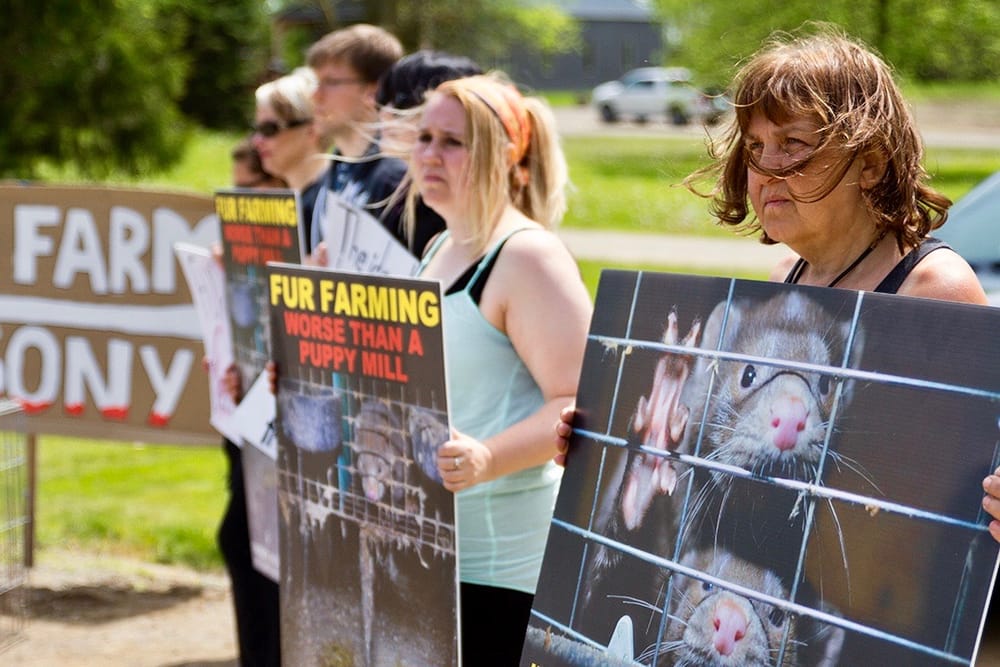 Security from Trespass Act comes into effect; not everyone on board post image