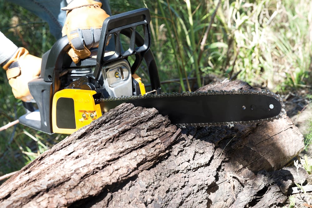 Puslinch Tract to temporarily close for tree maintenance post image