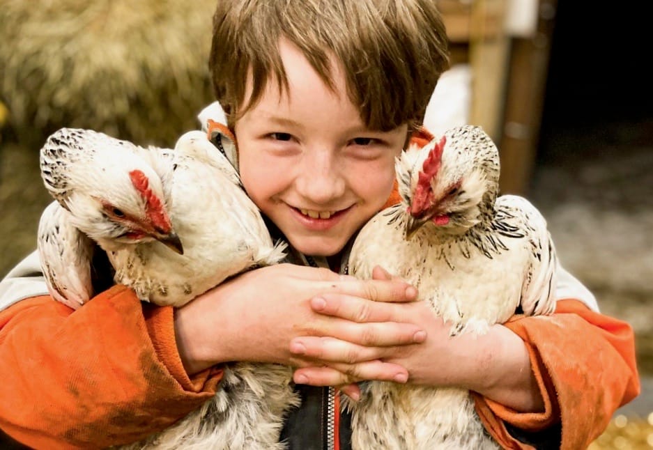 With school trips cancelled some local farmers offer virtual farm visits post image