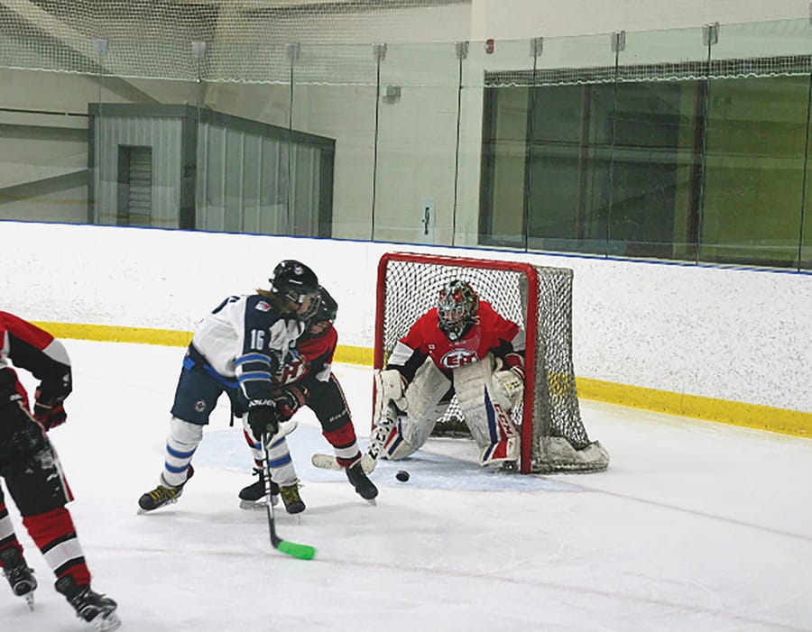 Erin-Hillsburgh Minor Hockey recognizes sportsmanship, athleticism and teamwork post image