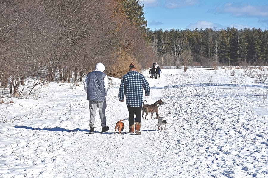 Making tracks at the Puslinch Tract Conservation Area post image
