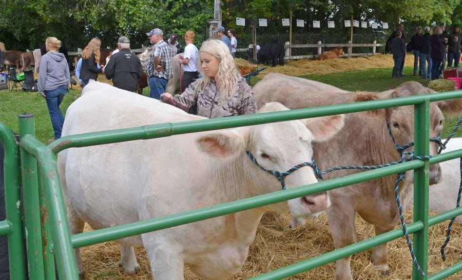 Fergus Fall Fair announces first-ever virtual competitions, new prizes  post image