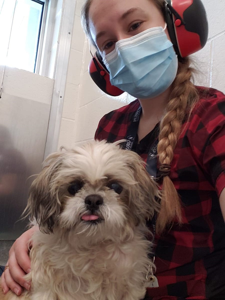 Guelph Humane Society gets creative during lockdown post image