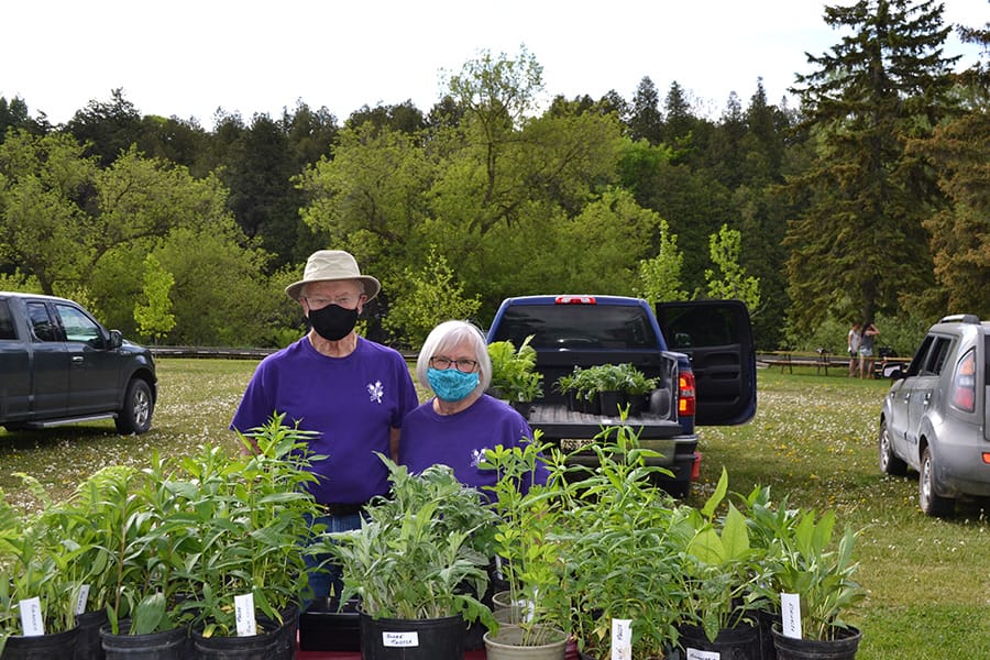 Elora Farmers Market opens in Bissell Park post image