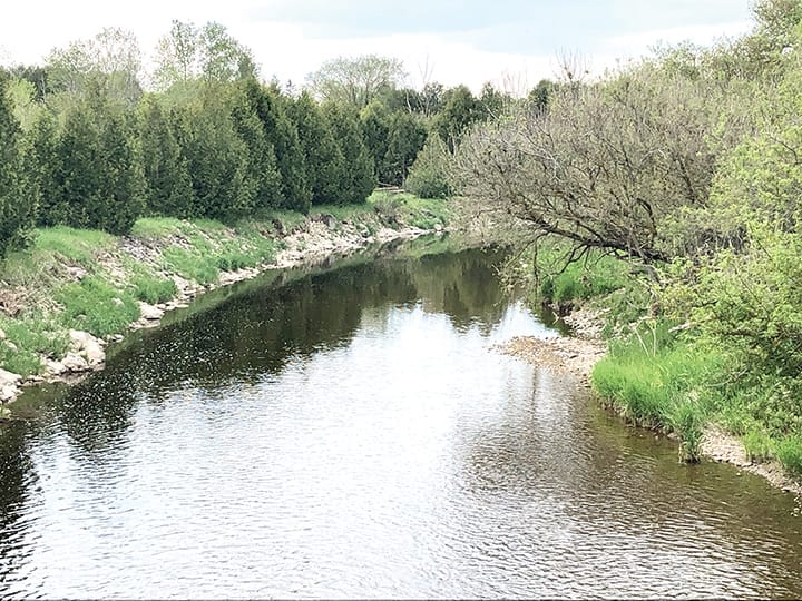 Sunny spring scene on the South Saugeen River post image