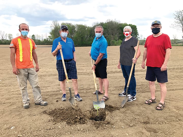Minto enters Metz Community Giant Pumpkin Challenge post image