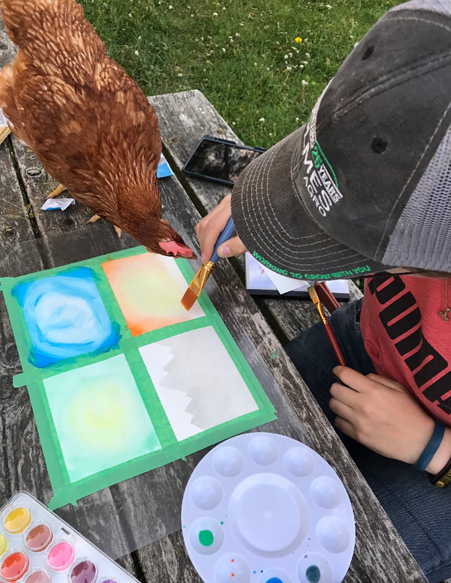 Wellington 4-H Club ruffles their feathers post image