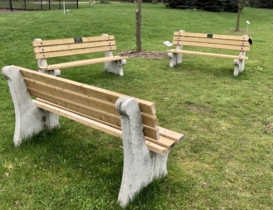 Minto approves policy for commemorative benches, trees post image