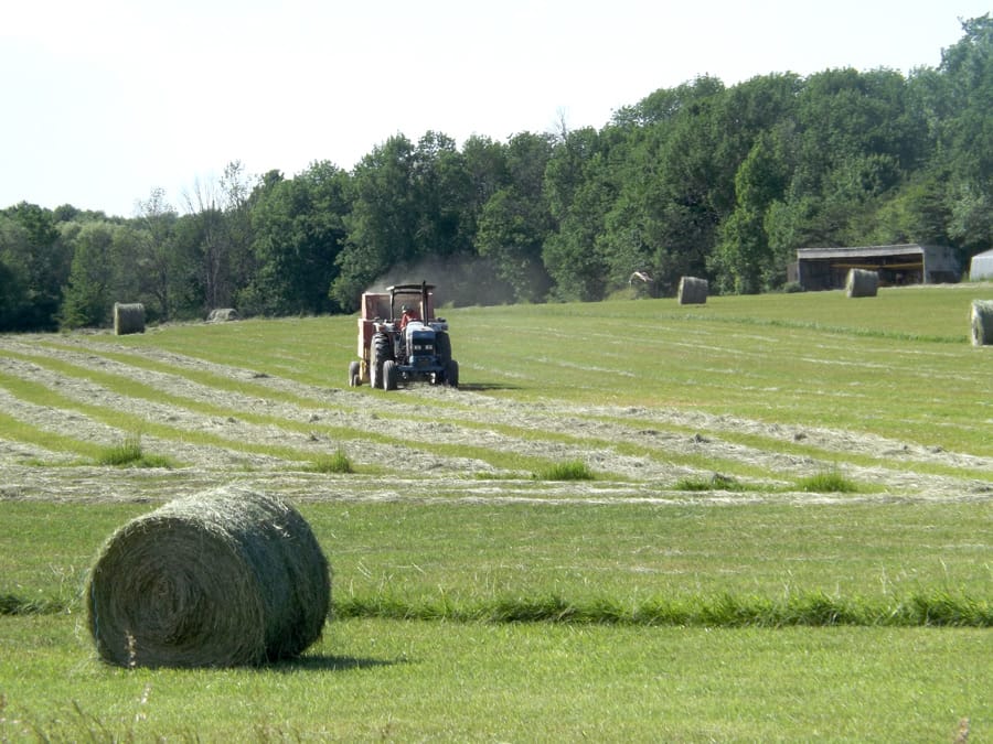 Bailing underway near Harriston post image