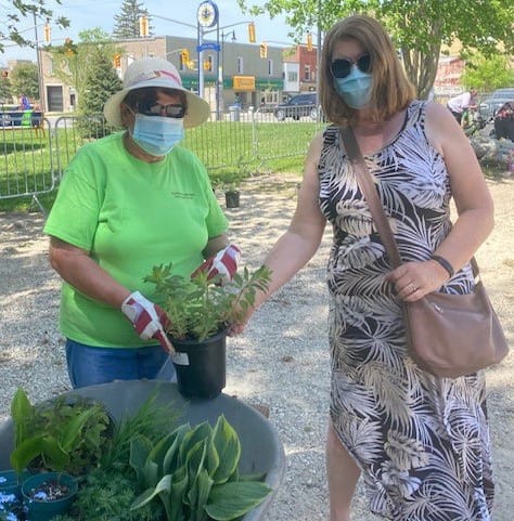 Plant sale held in Clifford post image