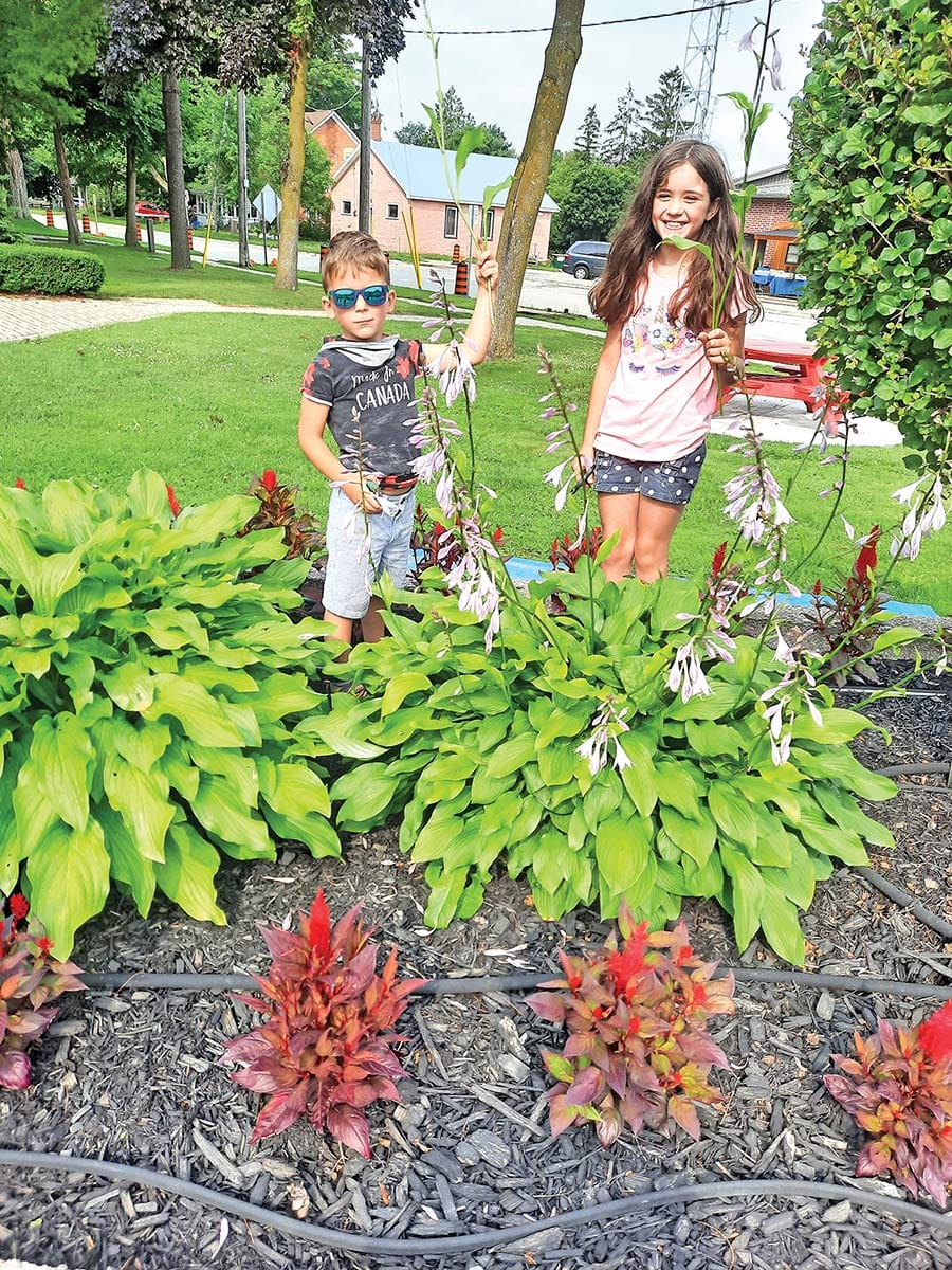 Junior gardeners help out in Arthur post image