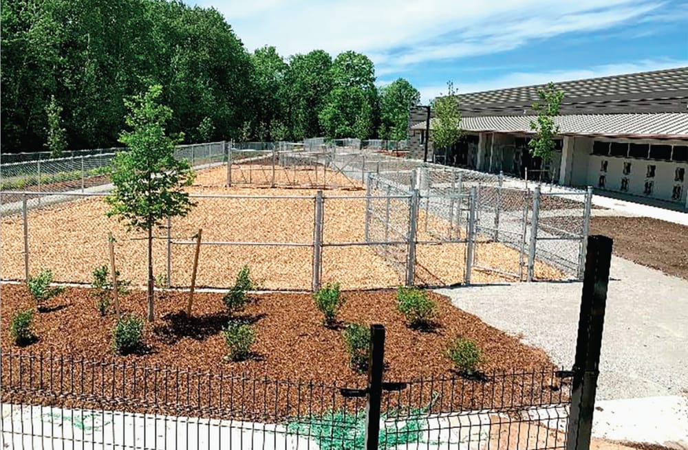 Guelph Humane Society installs pollinator garden at new location post image