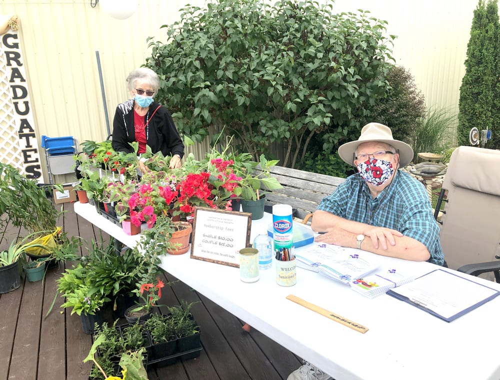 Party time downtown across Minto on July 3 post image