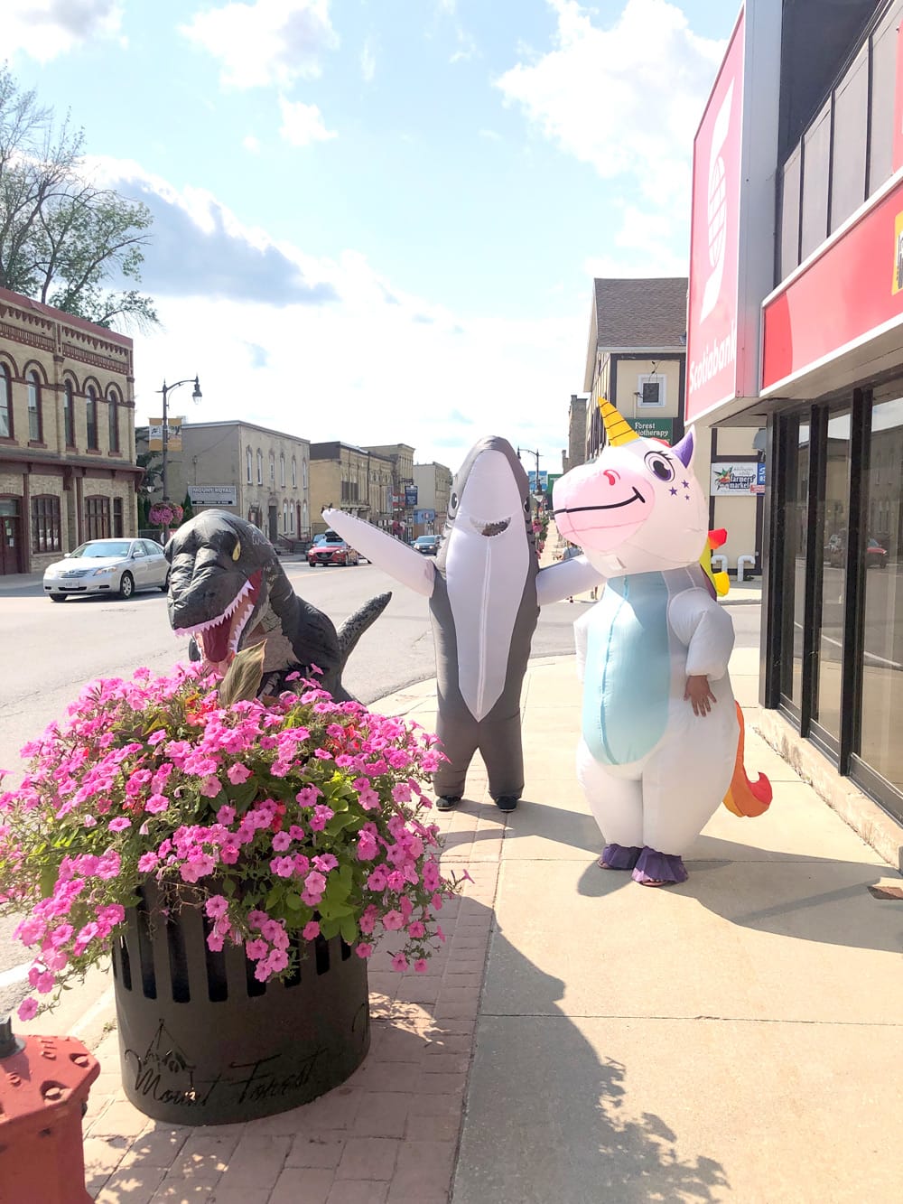 Acts of Kindness bring smiles to Mount Forest post image