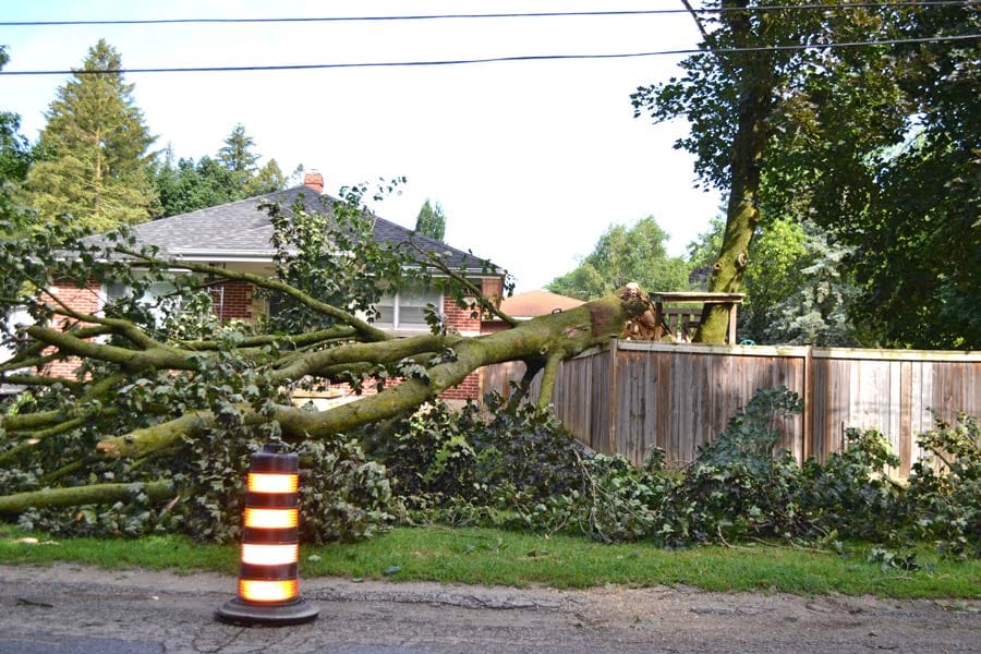 Storm damage in Elora caused power outage post image