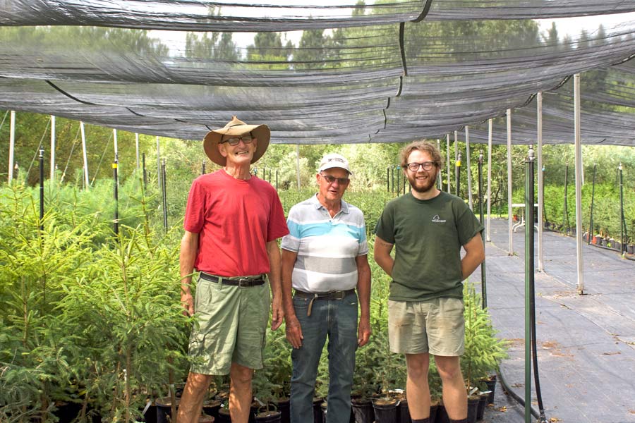 County’s Green Legacy Program continues to thrive despite pandemic challenges post image