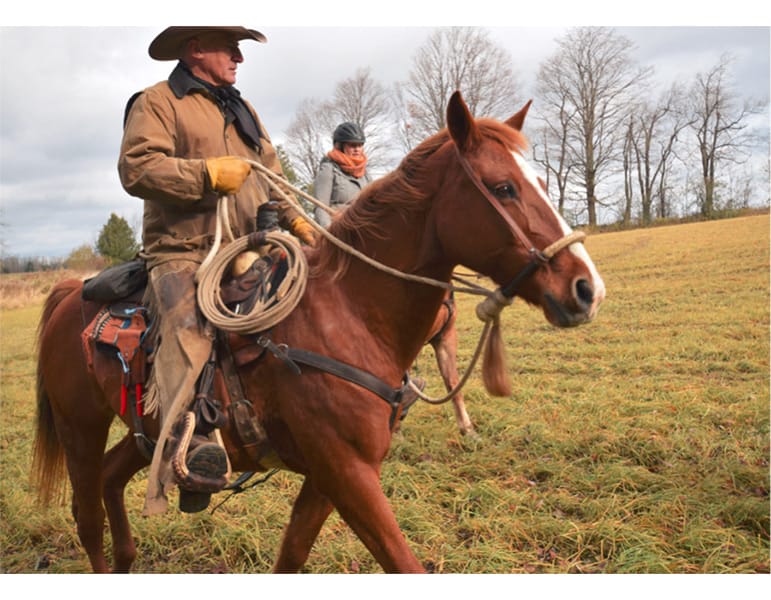 Hooves for Hospice - a “horsey” fundraiser post image