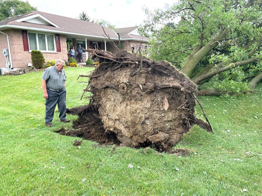 EF1 tornado confirmed between Harriston, Kenilworth post image