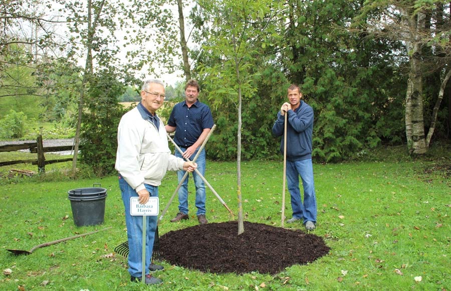 Memorial planting recognizes Barbara Harris on National Tree Day post image