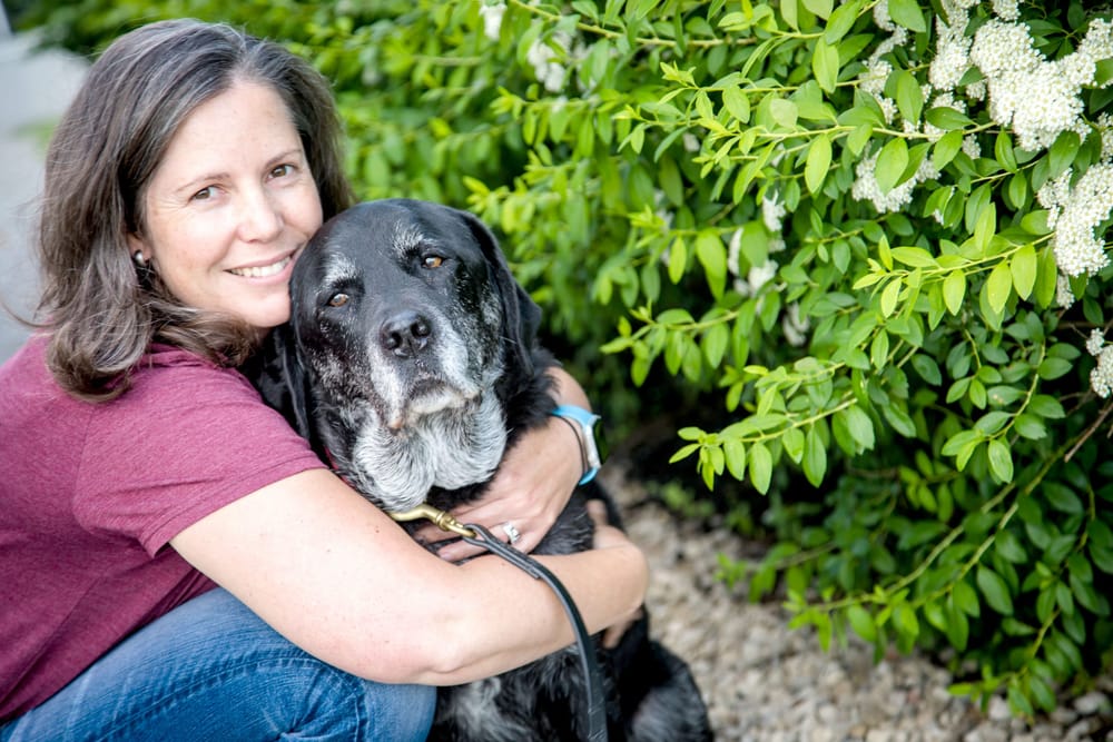 Ontario’s first mobile weight management veterinary clinic now on the road post image