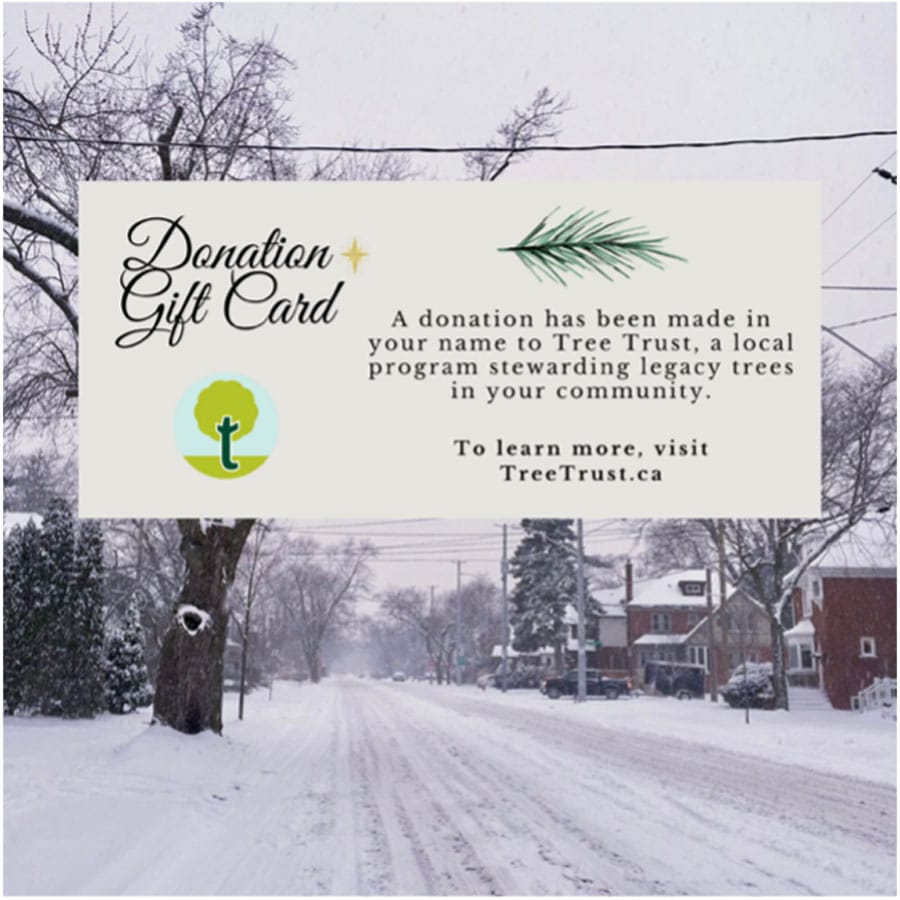 Tree Trust has a ‘green’ gift idea post image