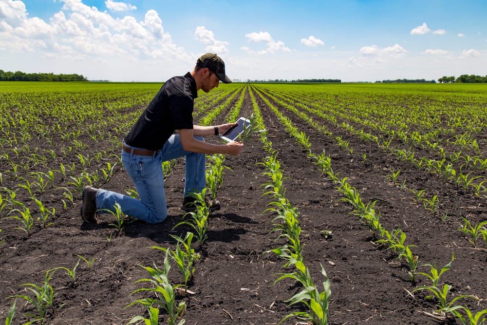 Local workshops target cybersecurity on farms as agriculture goes increasingly digital post image