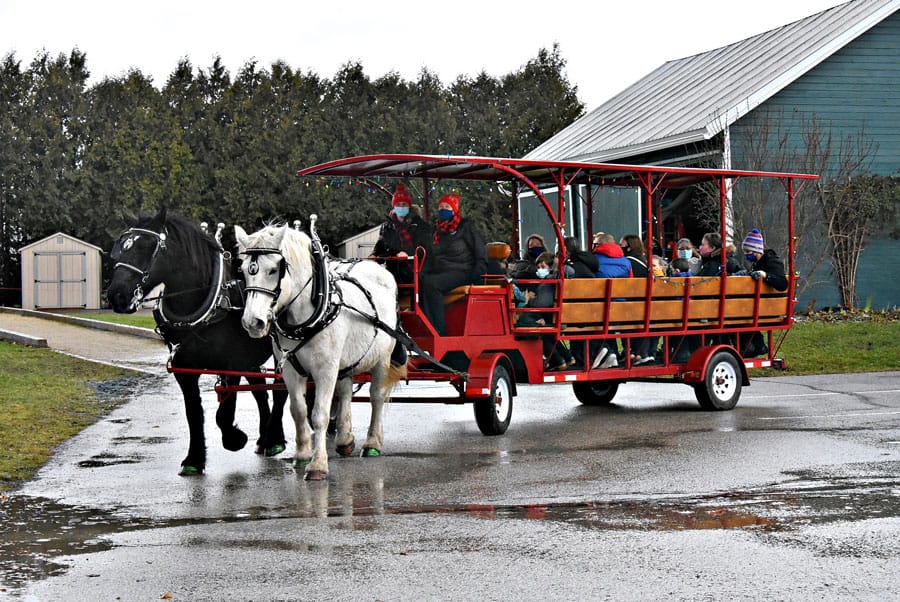 First Market Place at the Museum a success post image