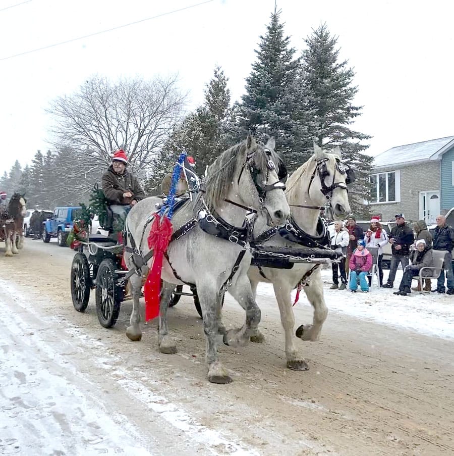 Holstein non-motorized parade set for Dec. 11 post image