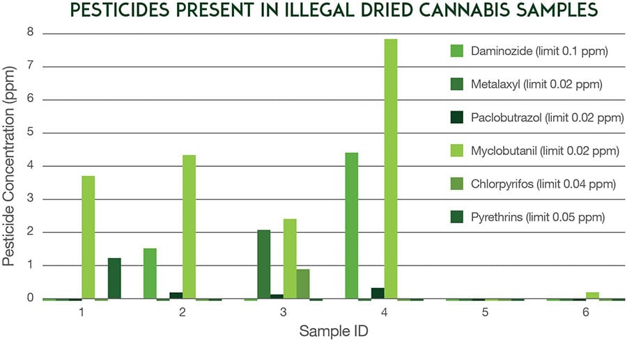OPP: latest research shows high levels of chemicals, lower-than-advertised levels of THC in illegal cannabis post image