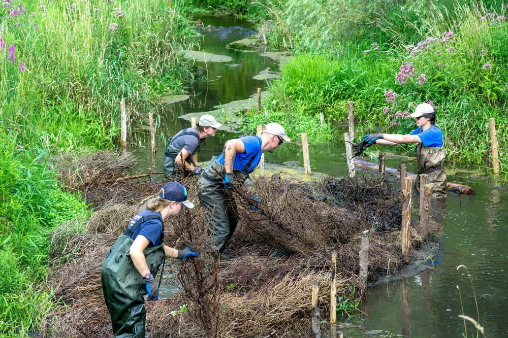 $75,000 OTF seed grant helps wholistic restoration take root post image