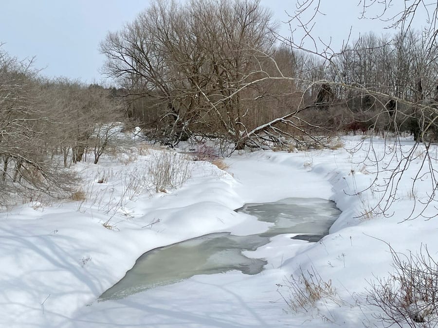 Scenic views on the Maitland River post image