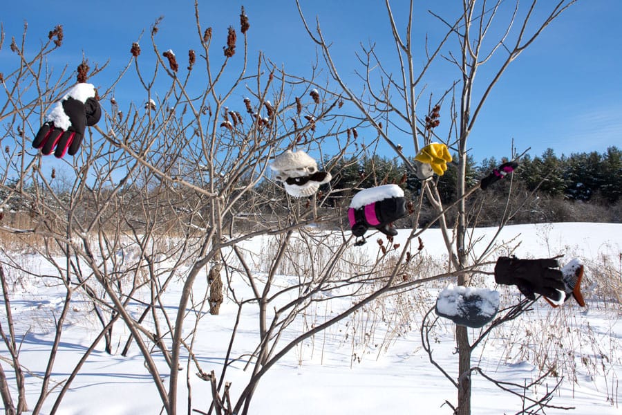 Mitten tree on Starky's Hill trail a lost and found for the season post image