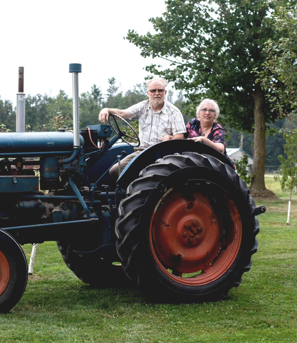 RIDDOLLS, Elizabeth post image