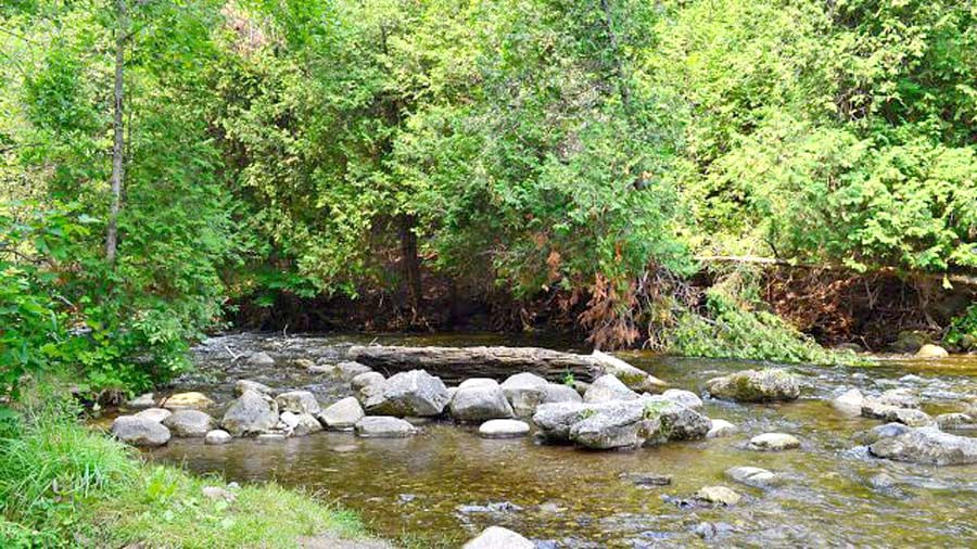 Coalition asks Peel council to support river monitoring program in response to Erin’s wastewater treatment plant post image
