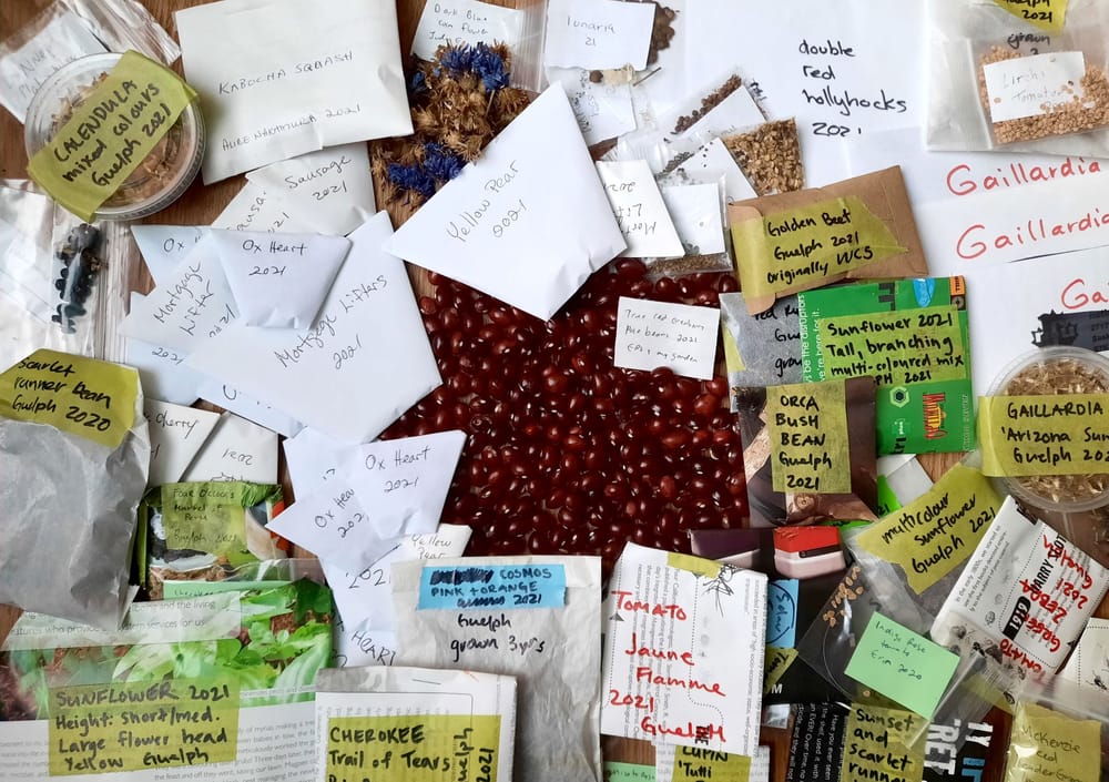 Erin Seed Library helps gardeners kick-off spring with Seedy Saturday this month post image