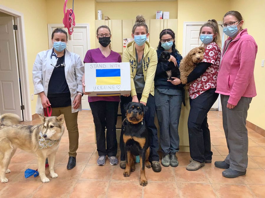 Animal hospital sends supplies to Ukraine post image
