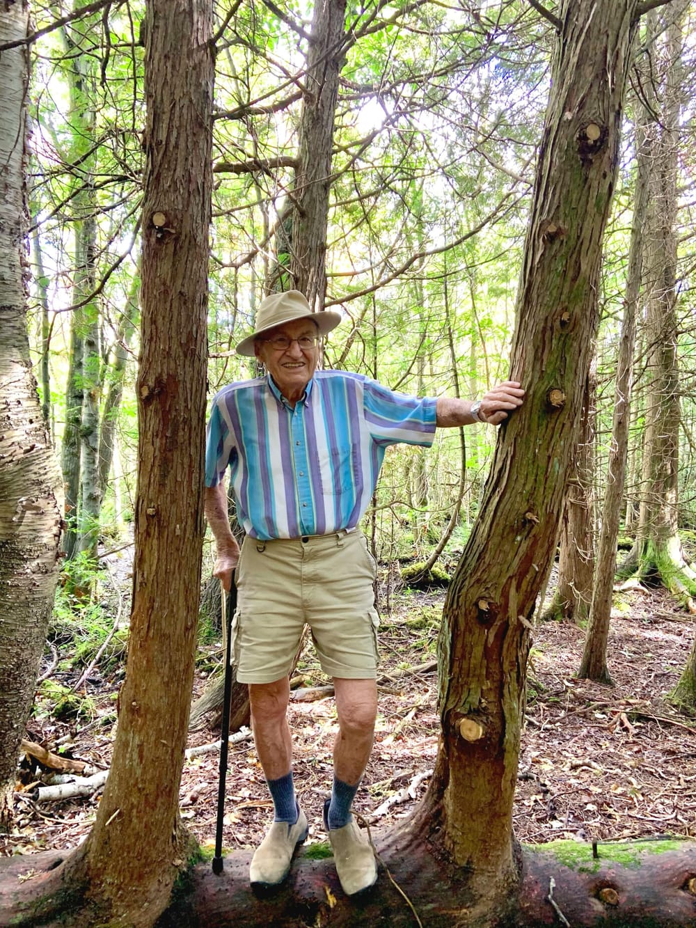 BIENZLE, Albrecht post image