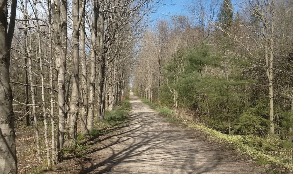 Grand Watershed Trails Network offers ‘one-stop place’ with new website launch post image