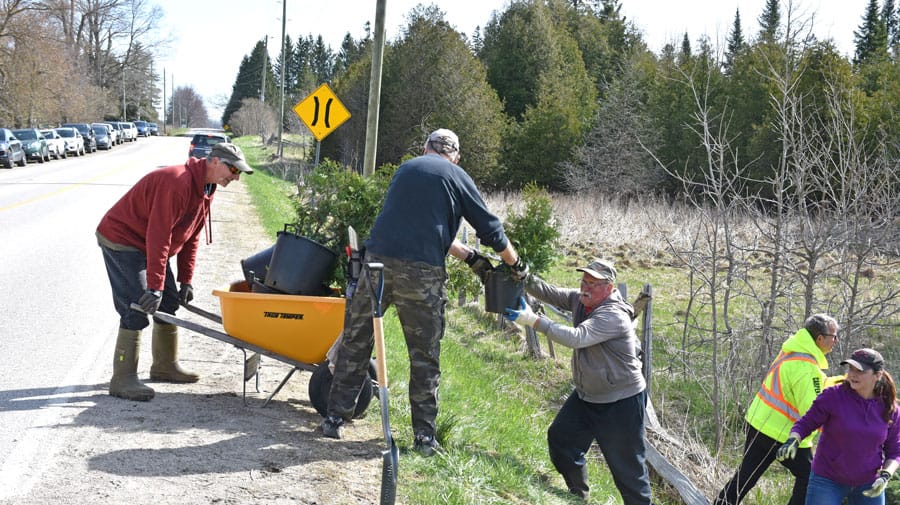 Friends of the Grand River tree planting event supports Carroll Creek area post image