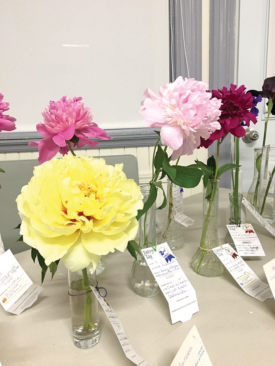 Harriston and District Horticultural Society held June meeting post image