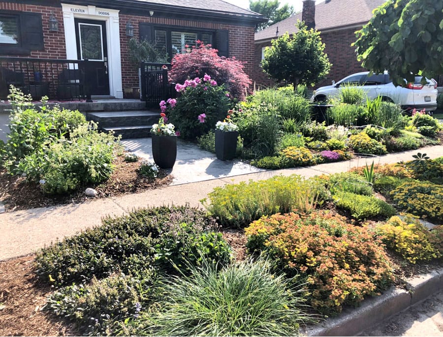 Sun, shade, part shade? What to plant where post image