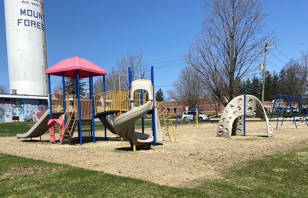 Lion Roy Grant playground reopens following accessibility improvements post image