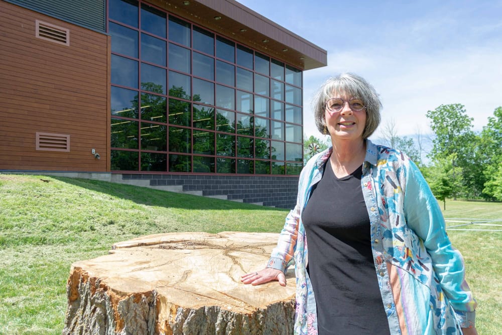 Local artist carving new life into fallen Hillsburgh tree post image