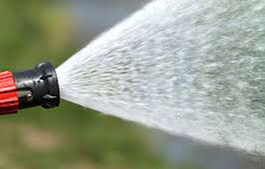 With water restrictions in effect, how can I keep my plants alive? post image