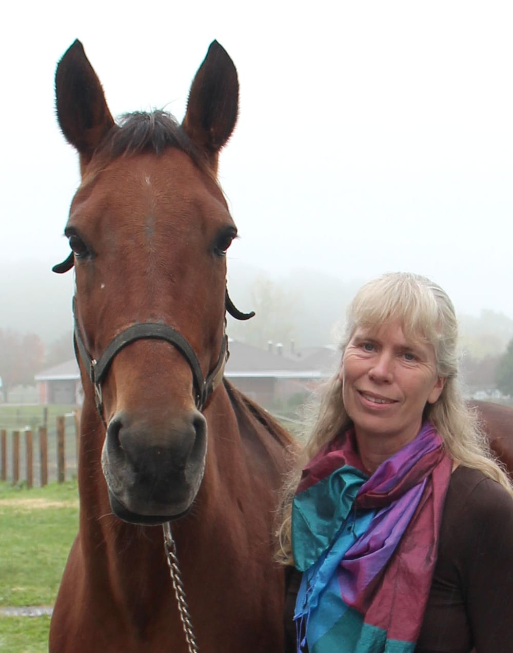 What’s in a whinny? According to an Equine Guelph study, a whinny speaks volumes post image